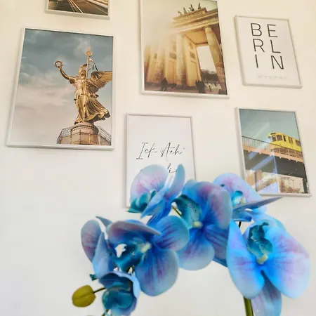 Berlin 2 소코 반자